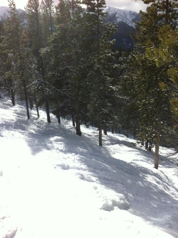 Taynton Lodge At Panorama Mountain Village Resort Екстер'єр фото